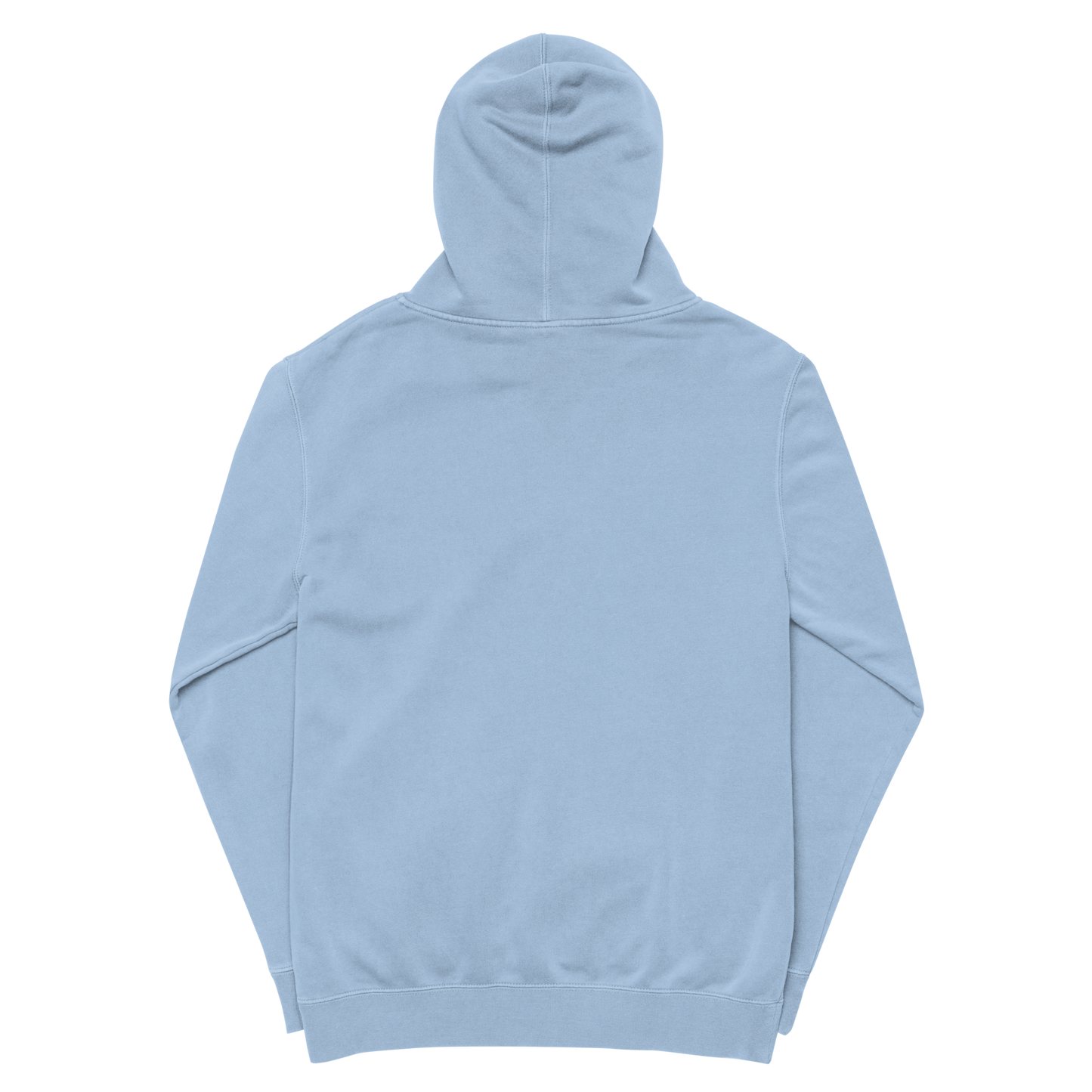 Fyne Officials Unisex pigment-dyed hoodie